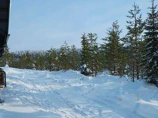 Дома для отпуска Holiday Home Kotokuusi 3 Рука Дом для отпуска-34